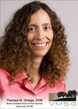 My Vet's the Best finalist Dr. Theresa Ortega of the Veterinary Medical and Surgical Group in Ventura, California.